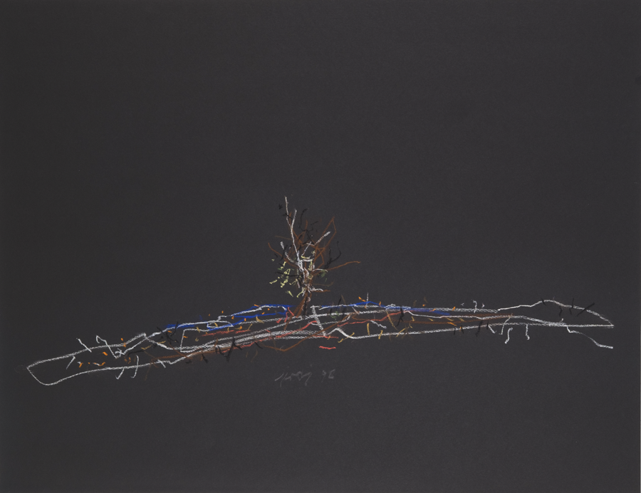 11. 1998, pastel, paper, 65 x 50 cm