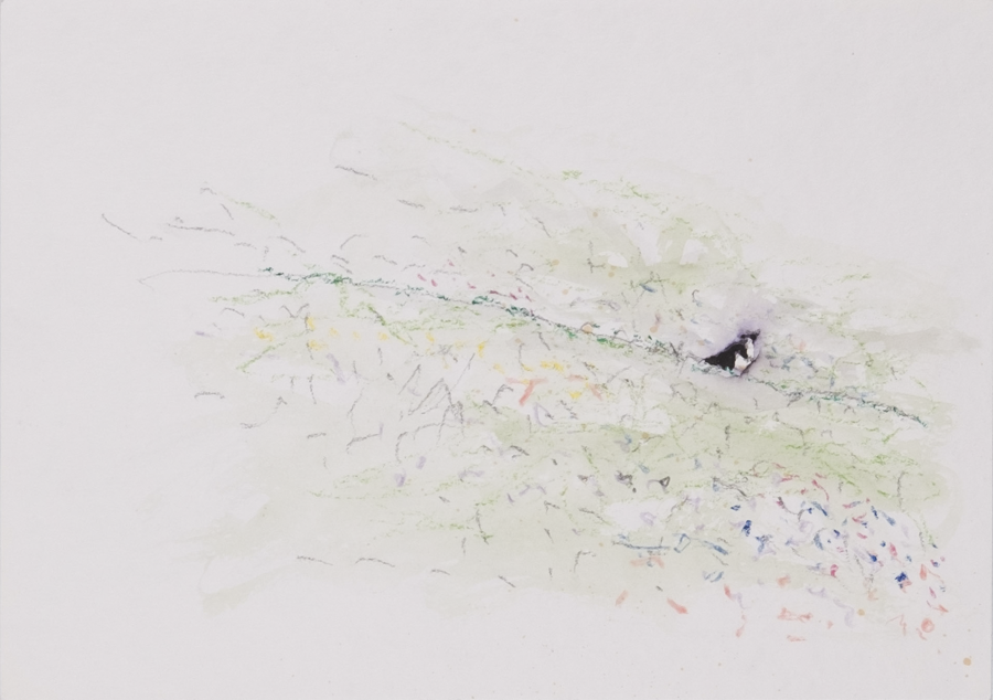 18. 2000s, colored pencil, colorized, 24 x 15 cm