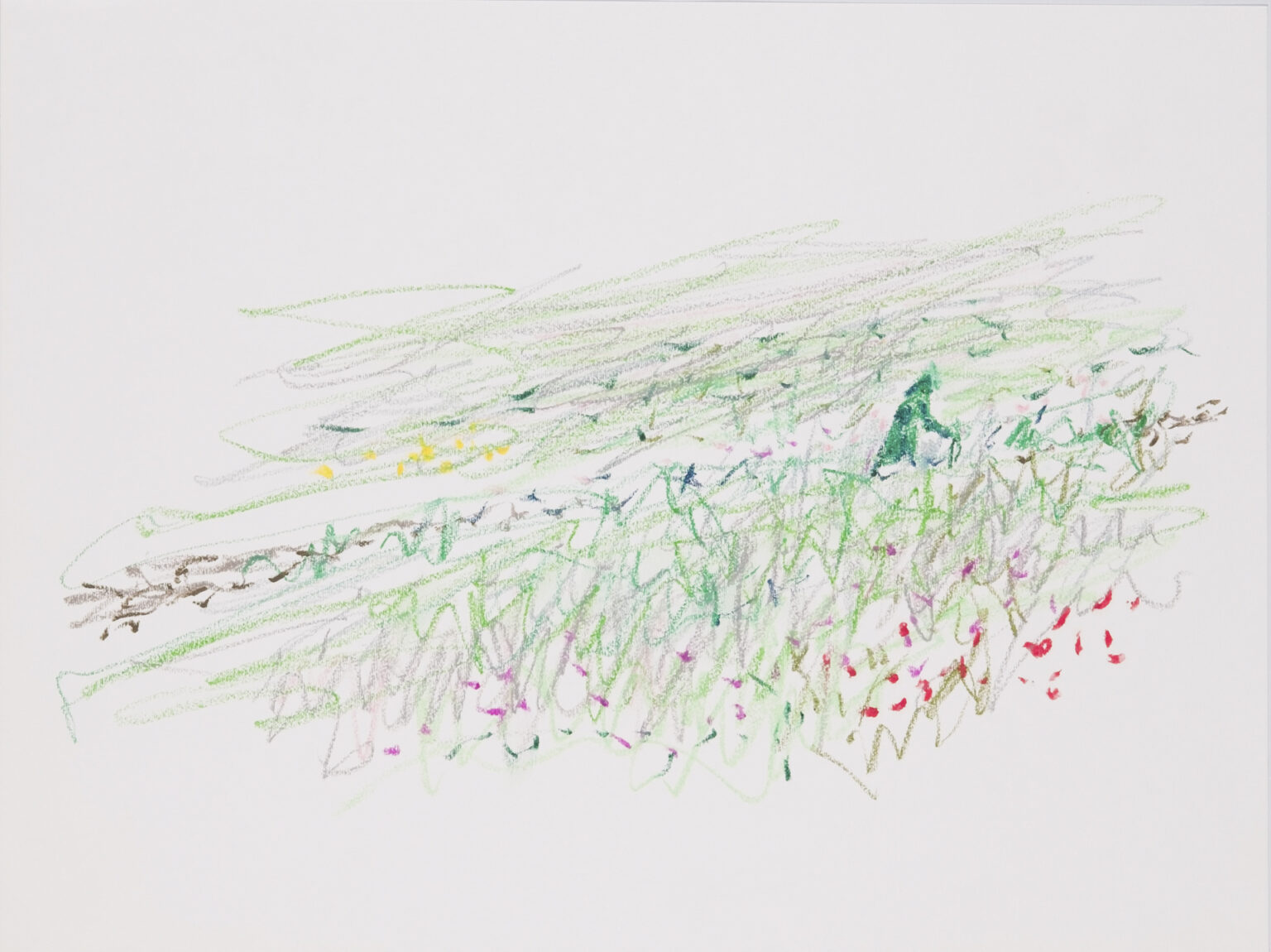 pastel, papir/paper, 48 x 36 cm